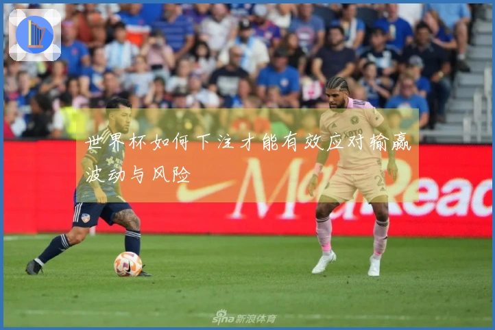 世界杯如何下注才能有效应对输赢波动与风险