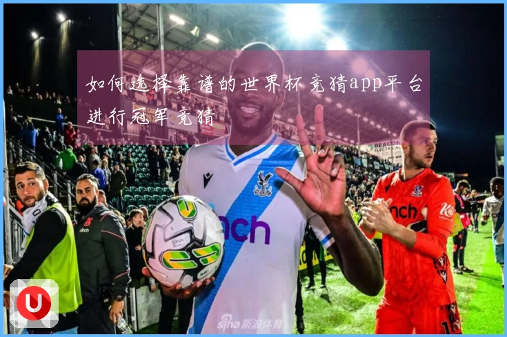 如何选择靠谱的世界杯竞猜app平台进行冠军竞猜