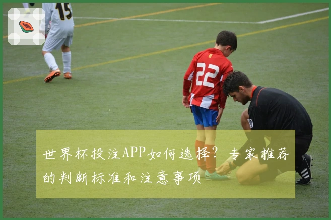 世界杯投注APP如何选择？专家推荐的判断标准和注意事项