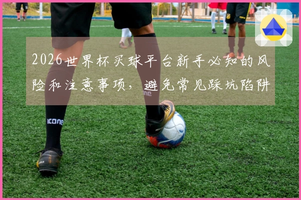 2026世界杯买球平台新手必知的风险和注意事项，避免常见踩坑陷阱